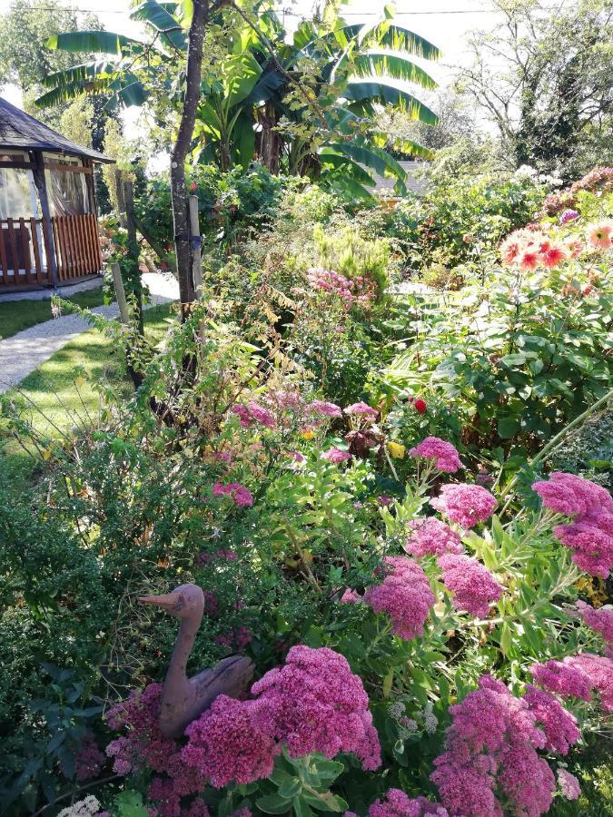 Les Petites Chapelles Bed & Breakfast Saint-Pierre-de-Plesguen Ngoại thất bức ảnh